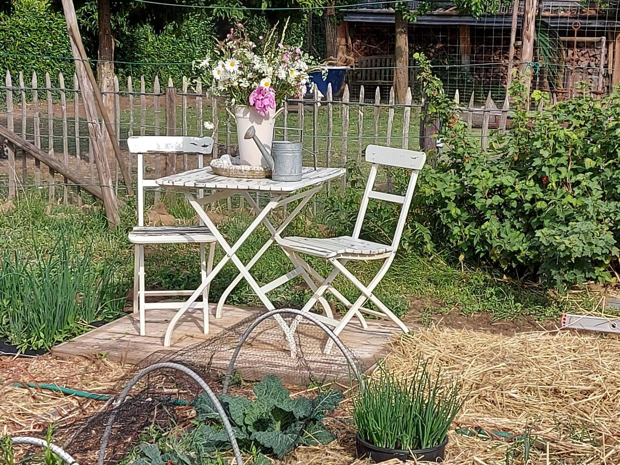 Bed and Breakfast Widdingenhof Wellen Экстерьер фото